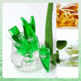 微信图片_20251008104218_3930_7