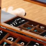 微信图片_20251013144706_5085_7